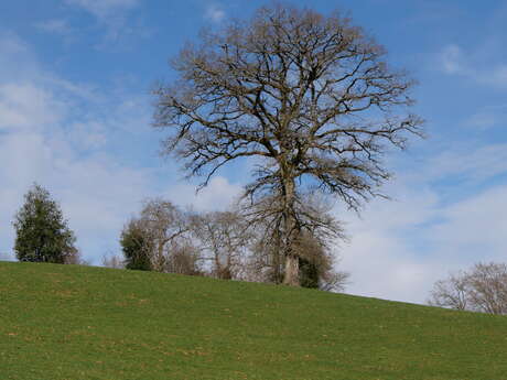 Entre Auvergne et Limousin