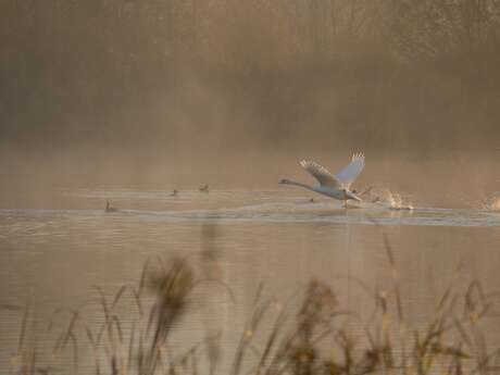 Moment conté à Ladorée avec Michel Galaret