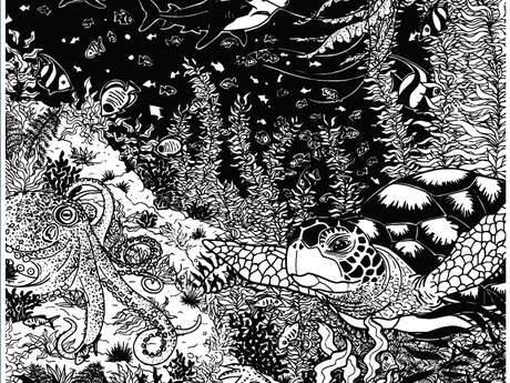 ''De l'eau d'ici à l'eau de là'' : exposition "Sanctuaire"