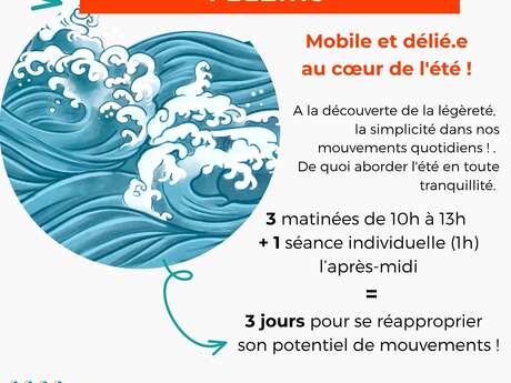 Stage Feldenkrais à Felzins