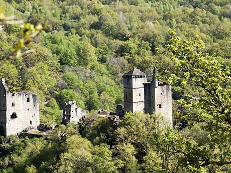 Grand nettoyage participatif aux Tours de Merle - Prenons soin de notre monument ! 3ème édition