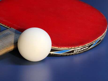 Ping Show Academy