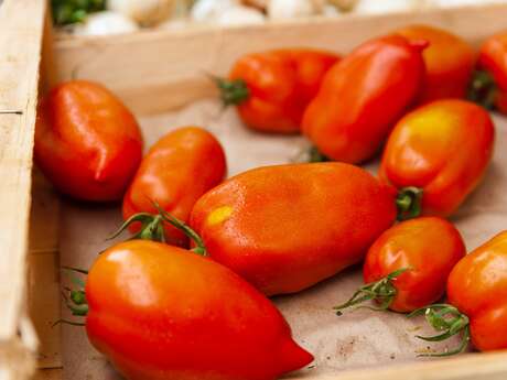 Marchés d’Été de Saint Germain du Bel Air