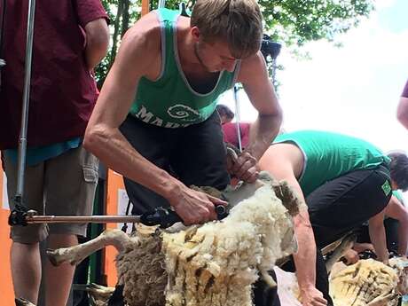 Fête des tondailles Le 12 juil 2024