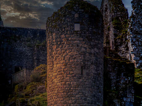 La nuit de la chauve-souris aux Tours de Merle