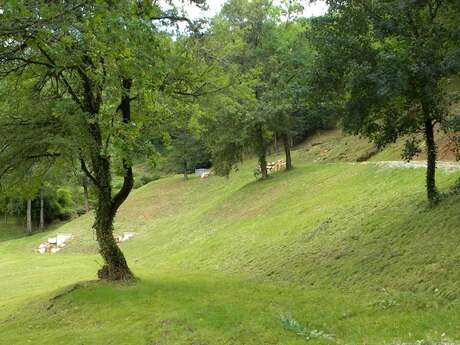 Visite guidée du site archéologique d'Uxellodunum