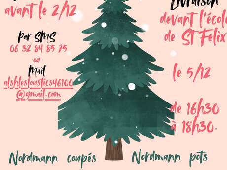 Une vente solidaire de sapins de Noël à Saint-Félix
