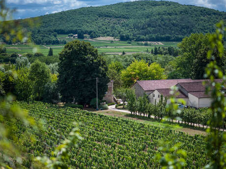 Château Fantou