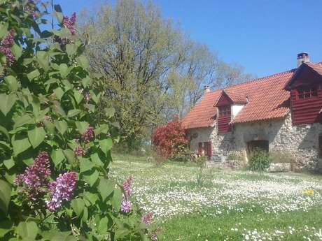 Le Vignoble