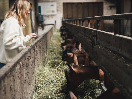 Dor'Lot Emerveille : Visite à la Ferme La Borie d'Imbert