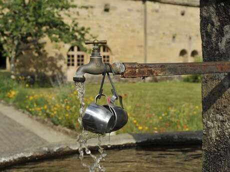 Journées Européennes du Patrimoine : visites guidées de l'abbaye