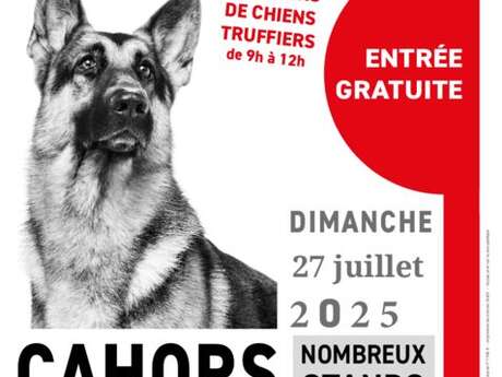 Exposition canine nationale