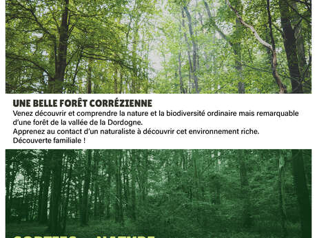 Découvrez en famille la Biodiversité de la Forêt !