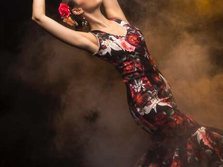 Spectacle de danse, chant, guitare "Tablao Flamenco"