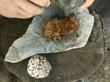 Journées Européennes du Patrimoine : circuit animations « Le quotidien des hommes préhistoriques » à l’Archéosite des Fieux