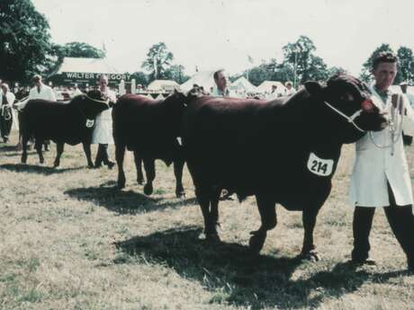 Comice Agricole