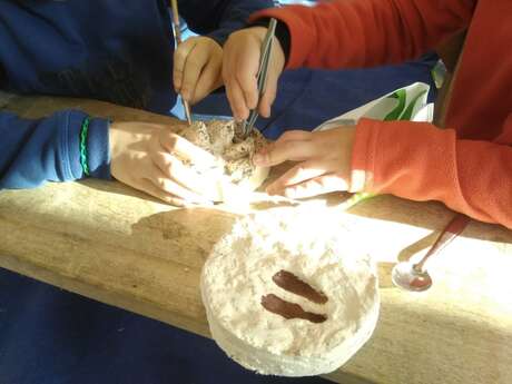 Ateliers "Jardin et Biodiversité" en famille : "Découvre les traces cachées" au Jardin Bourian