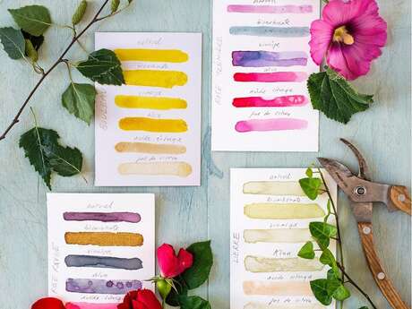 Atelier Fabrication d'aquarelle