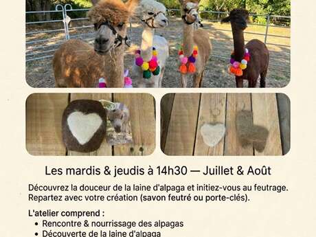 Ateliers feutrage à la ferme des Alpagas de Fons