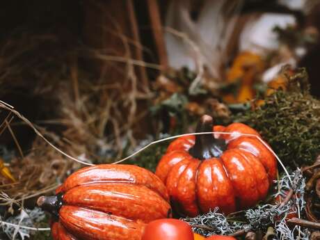 Rencontres d'automne