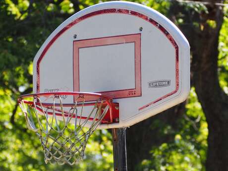 Stage de basket