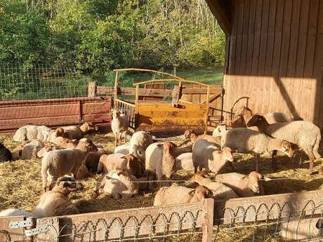 Ferme Pédagogique du Massarrat