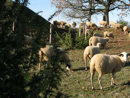 Ferme de Tartayrou