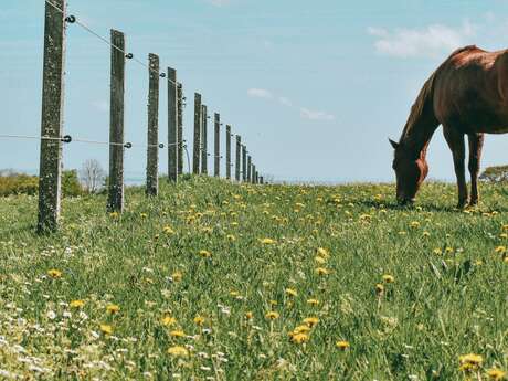 Le Lot de Ferme en Ferme : Découverte de la ferme du Dariben