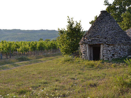 Domaine Campoy