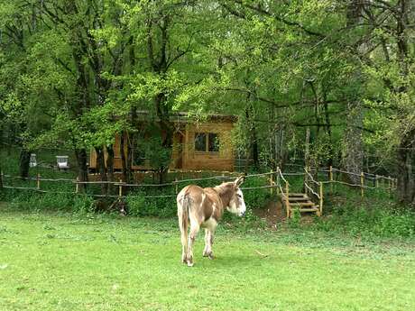 Lot’antique cabane des bois