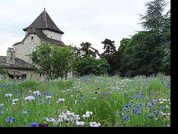 Château Vent d'Autan