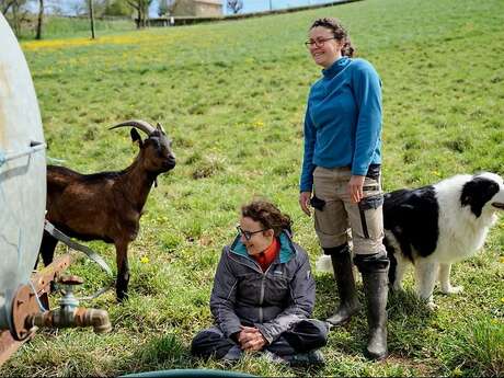 De ferme en ferme : Cabrioles de Balajou à Figeac
