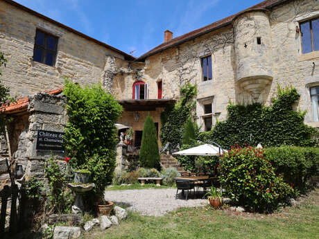 Château de St Chamarand - T3