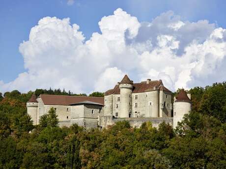 Journées du Patrimoine - Visite du Château de Vaillac et ses Ecuries
