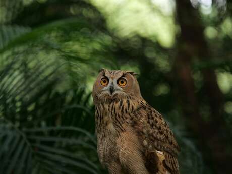 Hibou-Rando aux Jardins de Sothys