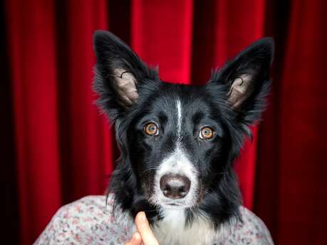 Théâtre de l'Usine - Ouiiii Cie des Plumés