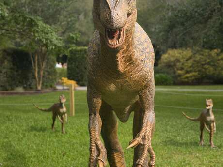 Les Cafés de la Préhistoire - des dinosaures sous les vignes