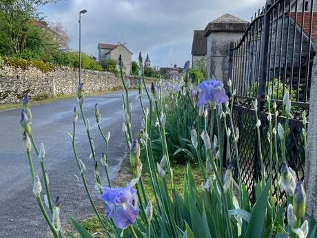 La Roubidoune “La Grange”