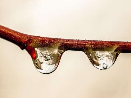 Rencontre avec l’auteur Stéphane Labarrière Rencontre avec l’auteur Stéphane Labarrière