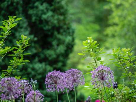 Rendez-vous au Jardin