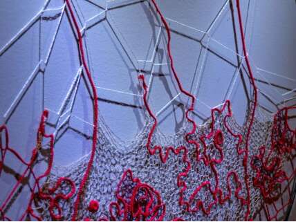 Rendez-vous des curieux - exposition