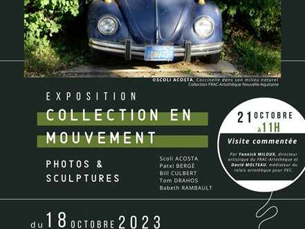 Dans le cadre de l'exposition "Collection en mouvement": visite commentée