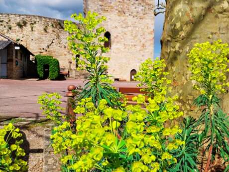 Exposition au Donjon de Mme De Boissieu, Capdenac le Haut