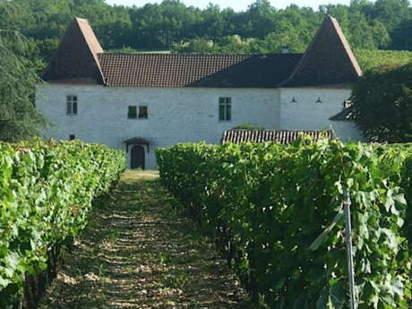 Portes-ouvertes au Château Tour de Miraval