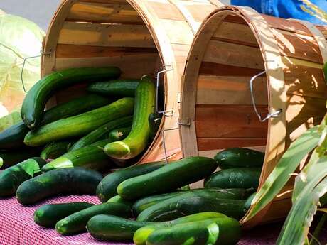 Marché des artisans et des producteurs à Albussac