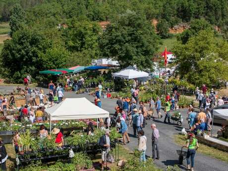 Fête des plantes rares