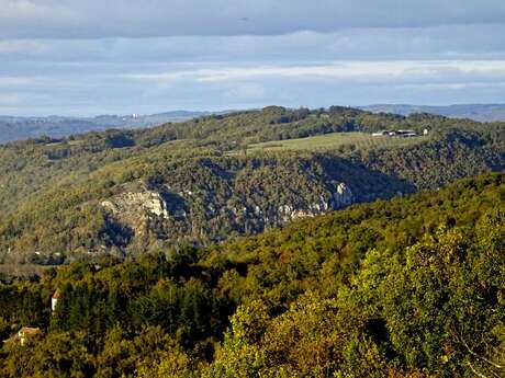 Pays d'Art et d'Histoire : Conférence - Quand les arbres dissimulent l’histoire : ce que le LIDAR révèle du Quercy