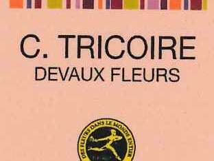 DEVAUX-FLEURS-C.TRICOIRE