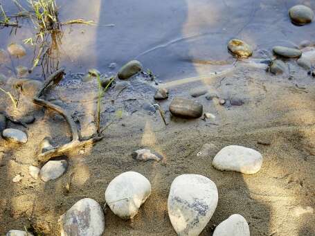 ATELIER : Menons l’enquête : Mon caillou est un trésor