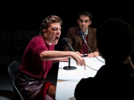 Festival de Théâtre de Figeac, lecture, rencontre, cinéma, théâtre : "Génération Mitterrand", "Un Dîner chez les Français..."